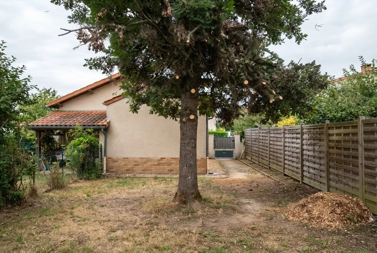 Pin sécurisé après élagage sur cordes à Corbarieu